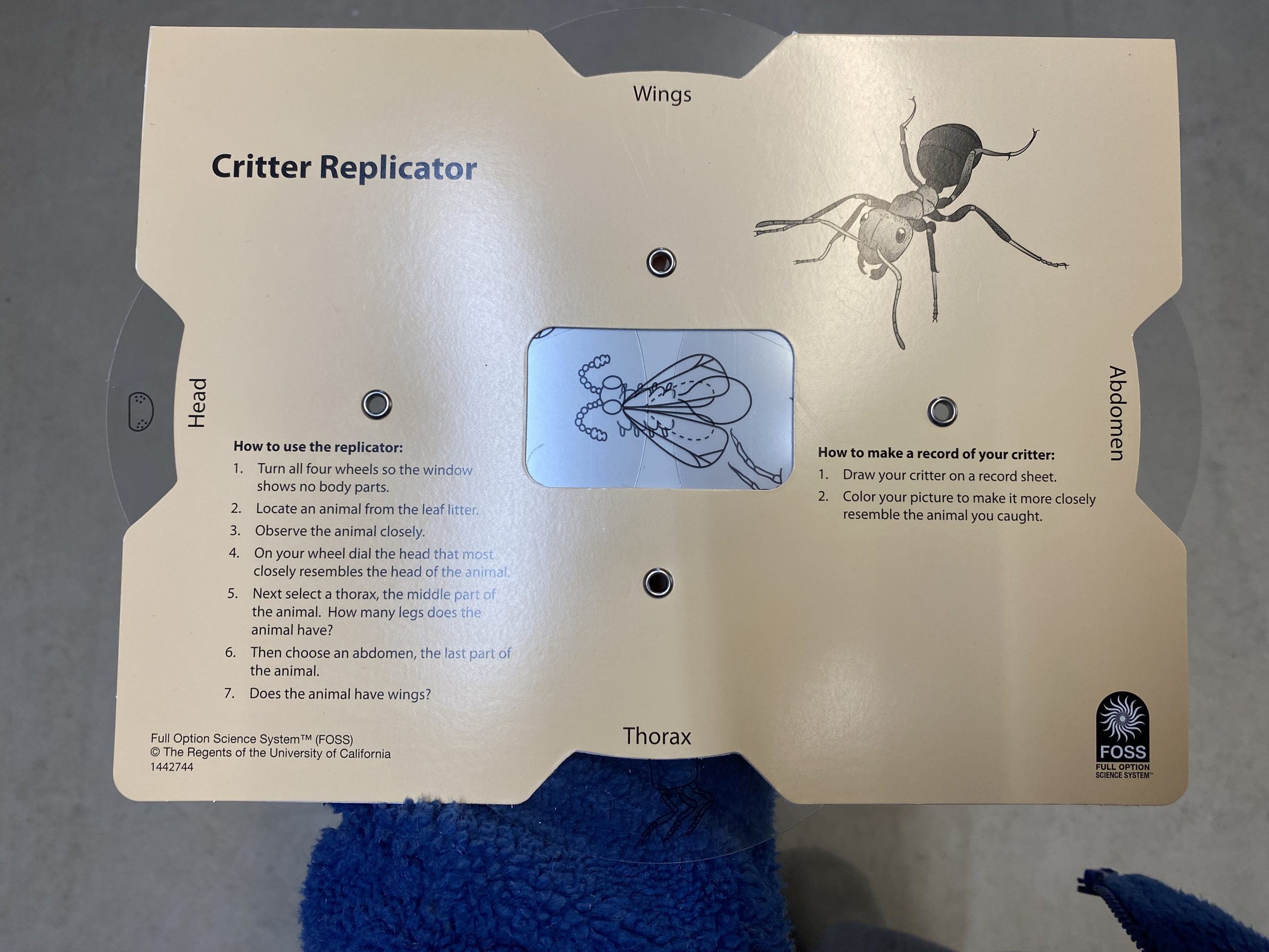 Image of a Critter Replicator